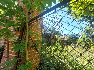 Pałac nad jeziorem  (Letnie przystAnki  odc. 8) 