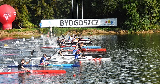 Złoto dla zuchwałych