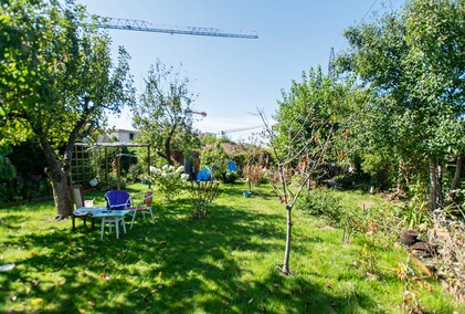 A poza tym nic na działkach się nie dzieje...