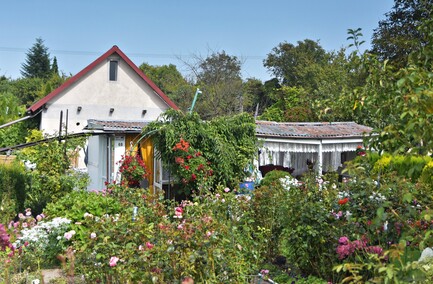 A poza tym nic na działkach się nie dzieje...