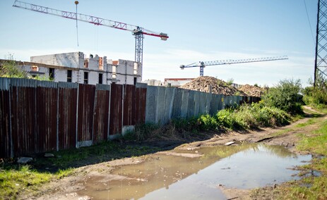 A poza tym nic na działkach się nie dzieje...