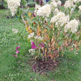 A poza tym nic na działkach się nie dzieje...