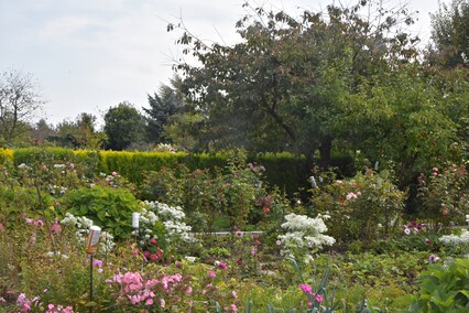 A poza tym nic na działkach się nie dzieje...