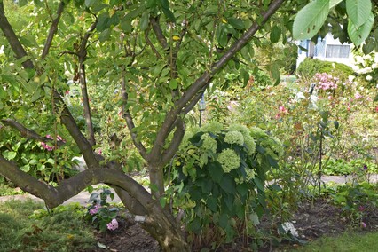 A poza tym nic na działkach się nie dzieje...