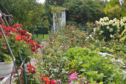 A poza tym nic na działkach się nie dzieje...