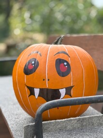 Dyniowa Farma startuje 20 września w Nowej Holandii