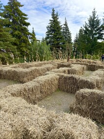 Dyniowa Farma startuje 20 września w Nowej Holandii