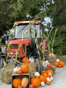 Dyniowa Farma startuje 20 września w Nowej Holandii