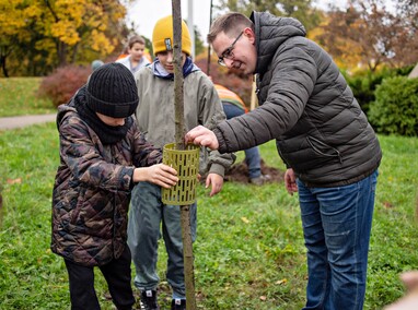 Śliwy, wiśnie i kasztanowce w parku Traugutta