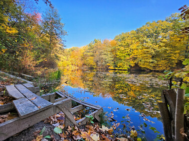Na wzgórzu przy Dąbrowskiego powstaje coś wyjątkowego… Na wzgórzu przy Dąbrowskiego powstaje coś wyjątkowego…