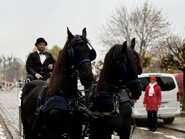 Biało-Czerwone 11, 107 i 123