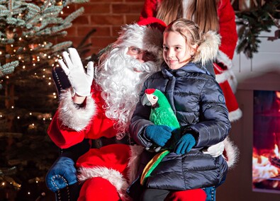 Choinka już świeci