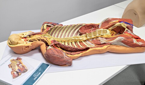 Medyczne i robotyczne nauki stosowane