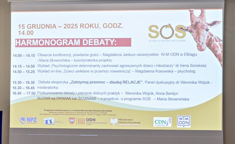 Różne oblicza nastoletniej przemocy