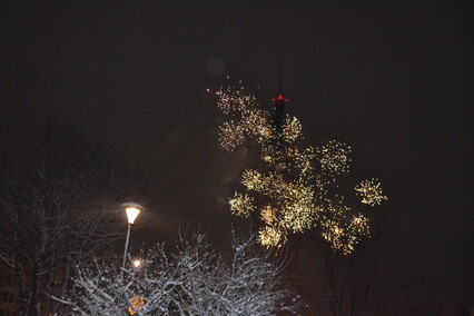 Elblążanie powitali nowy rok
