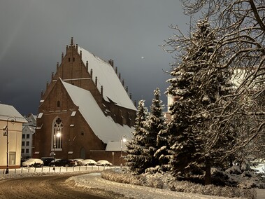 Elblążanie powitali nowy rok