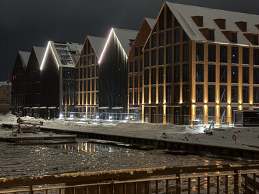 Elblążanie powitali nowy rok