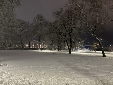 Elblążanie powitali nowy rok
