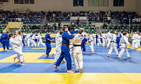 Judocy znów przyjechali do Elbląga