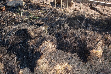 Pożar traw przy Wschodniej