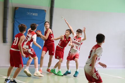 Elbasket wrócił po latach