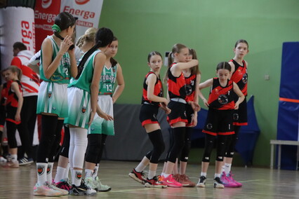 Elbasket wrócił po latach