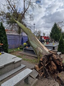 Silny wiatr dał się we znaki