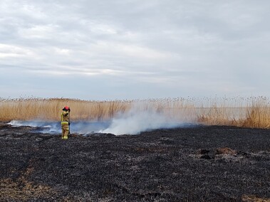 Kolejny pożar trzcinowiska