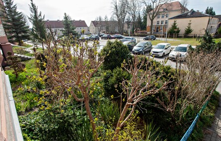 Mieszkańcy: Pielęgnowaliśmy to trzydzieści lat, teraz spółdzielnia każe wszystko usunąć