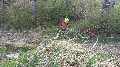 Na finał rywalizacja z lisem i dzikiem