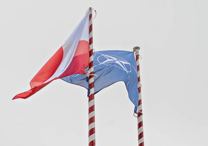 Wielonarodowa dywizja z nowym dowódcą