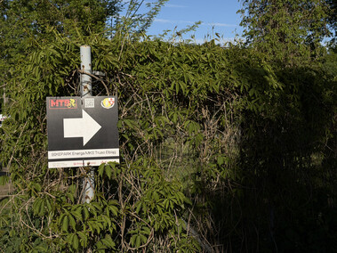 Rowerem na elbląski Bikepark