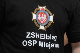 Strażacy z ZSH