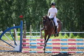 Zawody w Sokolniku