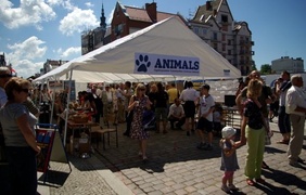 Najważniejsze, to się pokazać