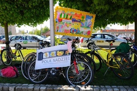 Żonkilowy festyn na rzecz hospicjum