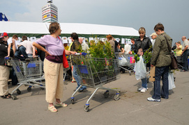 Ekologiczna wymiana
