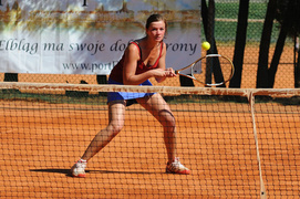 Faworyci wygrali portEl Open 2011 (tenis)