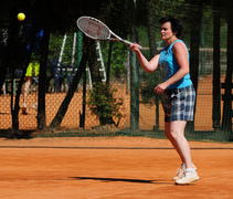 Faworyci wygrali portEl Open 2011 (tenis)