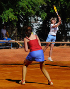 Faworyci wygrali portEl Open 2011 (tenis)