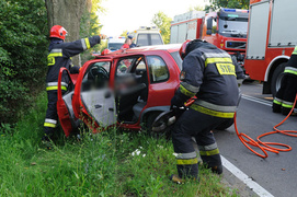 Oplem uderzył w drzewo