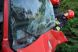 Oplem uderzył w drzewo