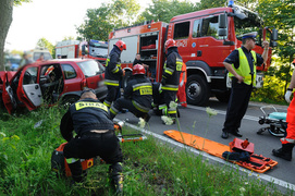 Oplem uderzył w drzewo