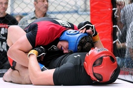 Wyniki mistrzostw MMA