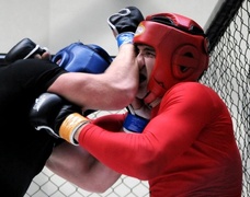 Wyniki mistrzostw MMA