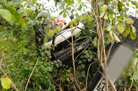 Passatem uderzył w drzewo. Dwie osoby trafiły do szpitala