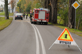 Leganzą uderzył w drzewo