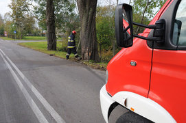 Leganzą uderzył w drzewo