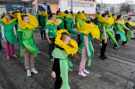 Żonkil – kwiat nadziei