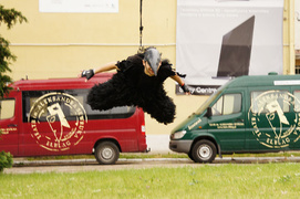 Wrony „sfrunęły” z dachu teatru